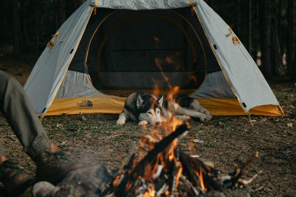 Les 5 meilleurs campings en montagne en France pour une évasion parfaite